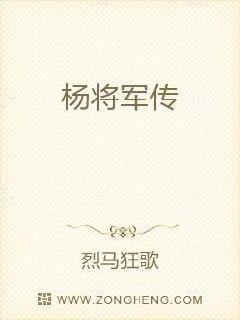 杨将军传